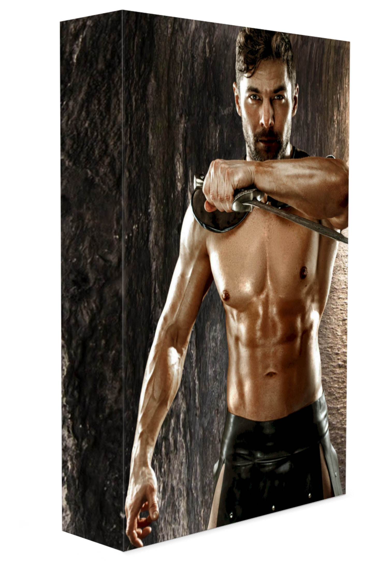 Stealth Guardians (Book  1 & 2)