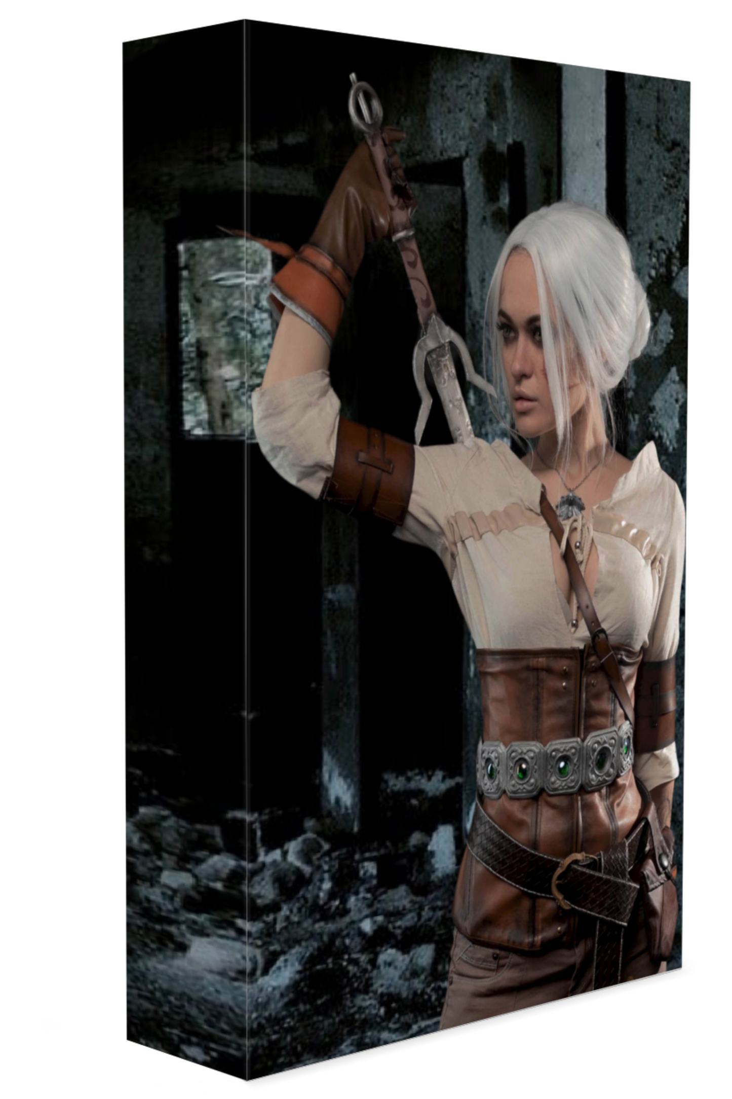 Stealth Guardians (Book 5 & 6)