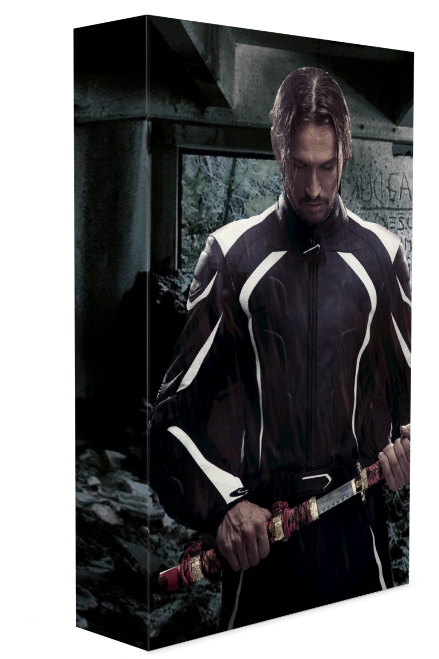 Stealth Guardians (Book 7)