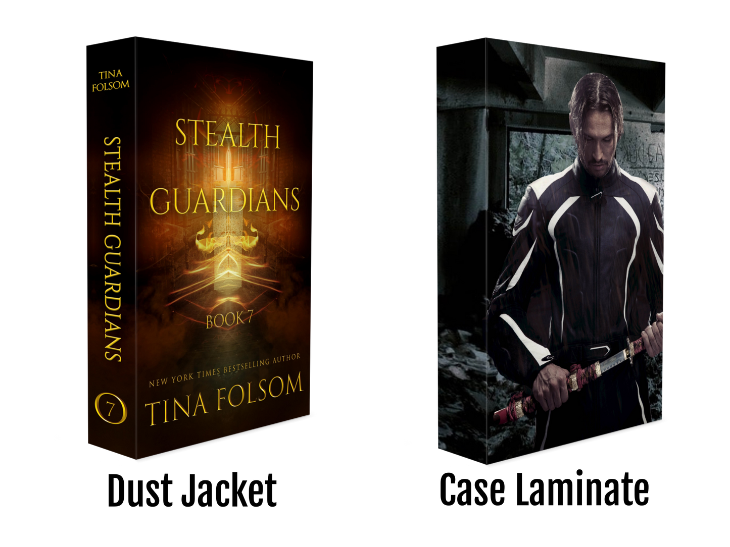 Stealth Guardians (Book 7)