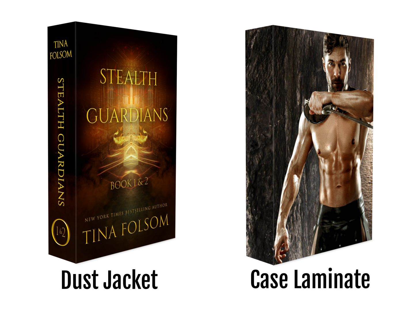 Stealth Guardians (Book  1 & 2)