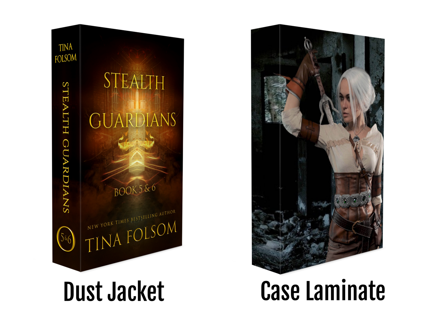 Stealth Guardians (Book 5 & 6)